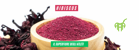 Hibiscus, il Superfiore degli Atleti
