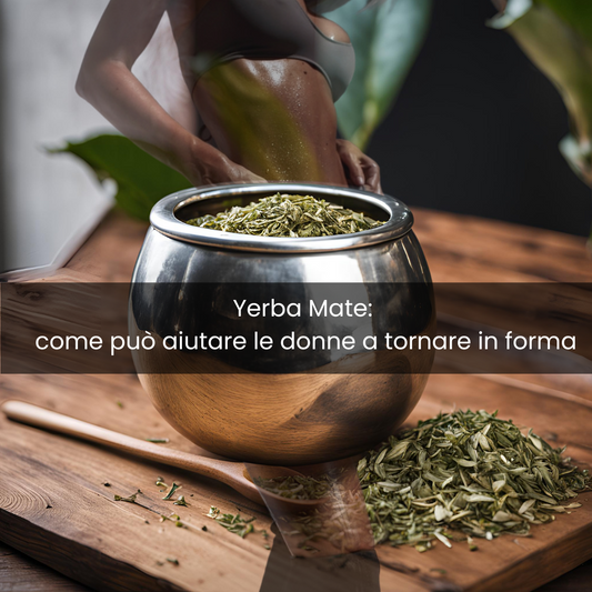 Yerba Mate: Come Può Aiutare le Donne a Tornare in Forma