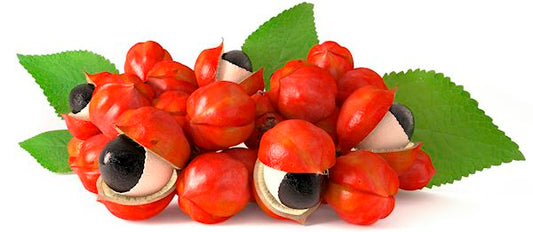 Guaranà: l’ingrediente segreto per una carica di energia naturale