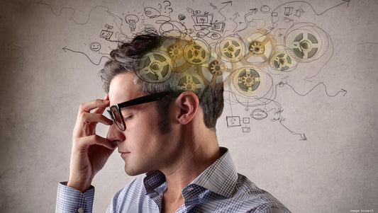 Yerba Mate e Performance Mentale: Cosa Dice la Scienza