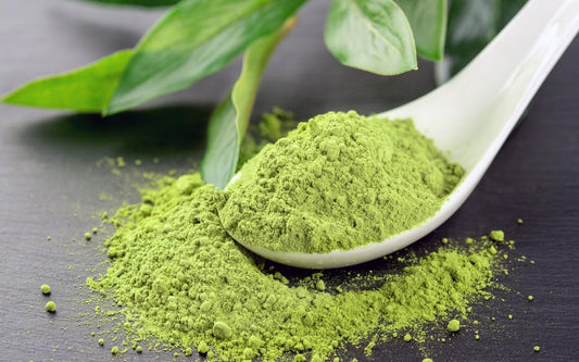 Tè Matcha: Benefici, Storia e Segreti del Superfood Giapponese