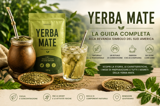 Yerba Mate: La Guida Completa alla Bevanda Simbolo del Sud America