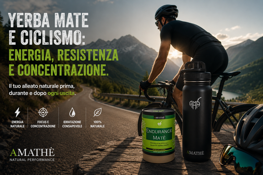 Yerba Mate e ciclismo: l'infuso funzionale dei ciclisti per energia ed endurance