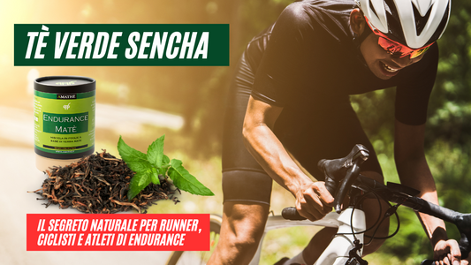 Tè Verde Sencha: Il Segreto Naturale per Runner, Ciclisti e Atleti di Endurance