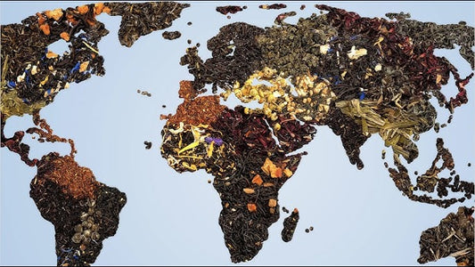 Storia e tradizione degli infusi nel mondo: dalle origini alla funzionalità moderna